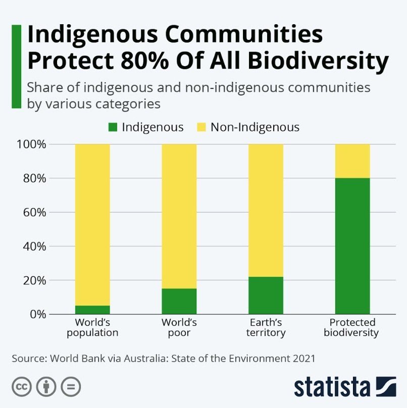 statista-indigenous-people-biodiversity.jpeg